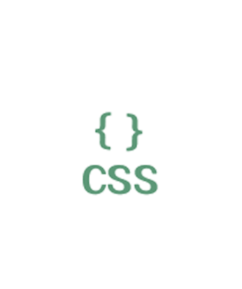 CSSicon